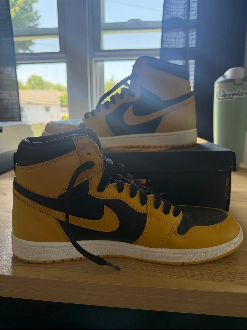 Air Jordan 1 Pollen